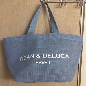 Small Mesh Tote Bag